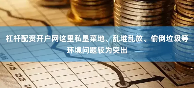 杠杆配资开户网这里私垦菜地、乱堆乱放、偷倒垃圾等环境问题较为突出