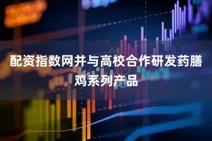 配资指数网并与高校合作研发药膳鸡系列产品