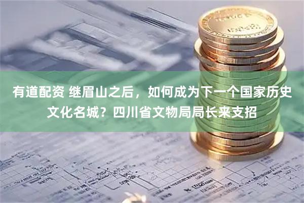 有道配资 继眉山之后，如何成为下一个国家历史文化名城？四川省文物局局长来支招