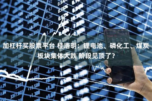 加杠杆买股票平台 桂浩明：锂电池、磷化工、煤炭板块集体大跌 阶段见顶了？