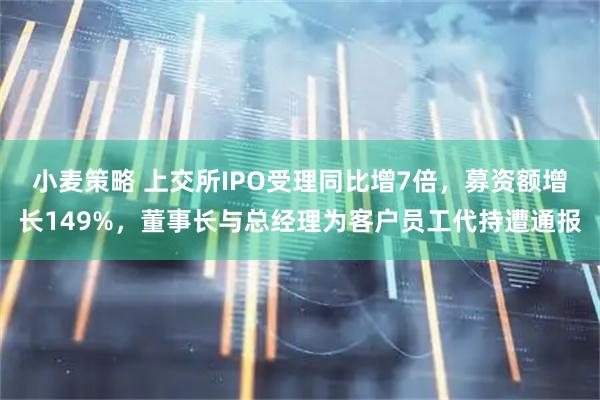 小麦策略 上交所IPO受理同比增7倍，募资额增长149%，董事长与总经理为客户员工代持遭通报