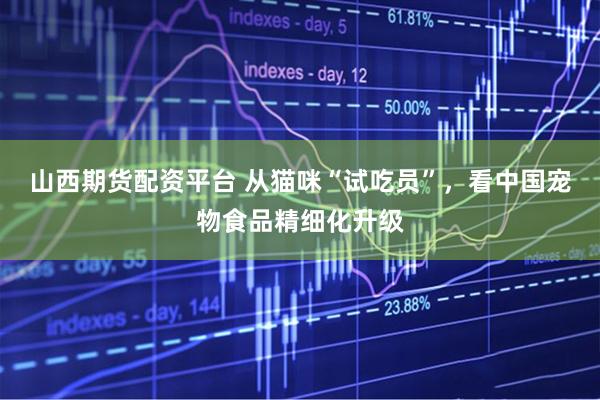 山西期货配资平台 从猫咪“试吃员”，看中国宠物食品精细化升级